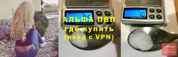 сатива Балахна