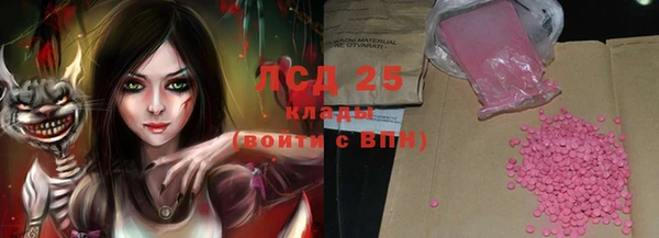 сатива Балахна