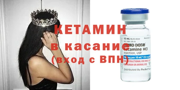 сатива Балахна