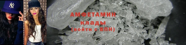 сатива Балахна