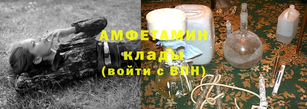 сатива Балахна