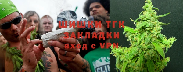 сатива Балахна