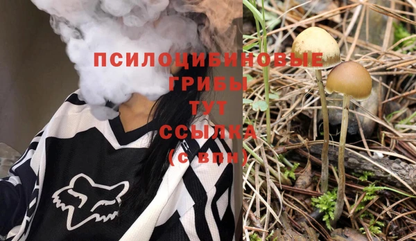 сатива Балахна