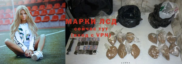 сатива Балахна