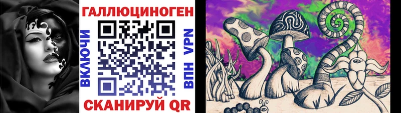 Псилоцибиновые грибы Psilocybe  где найти   Коммунар 