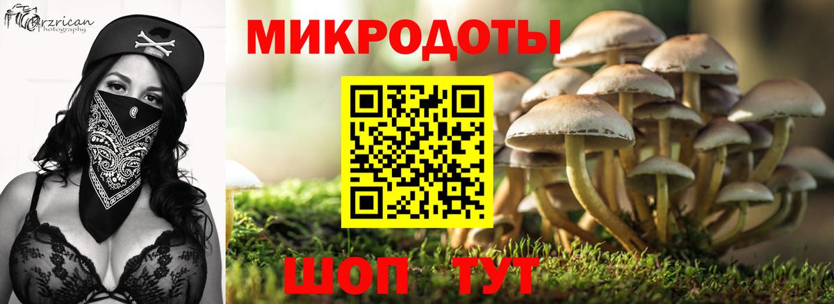 Галлюциногенные грибы Magic Shrooms  Псилоцибиновые грибы Psilocybine cubensis  Коммунар  Вход с VPN 