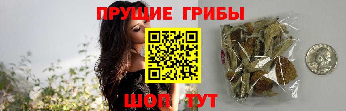 Галлюциногенные грибы прущие грибы Коммунар